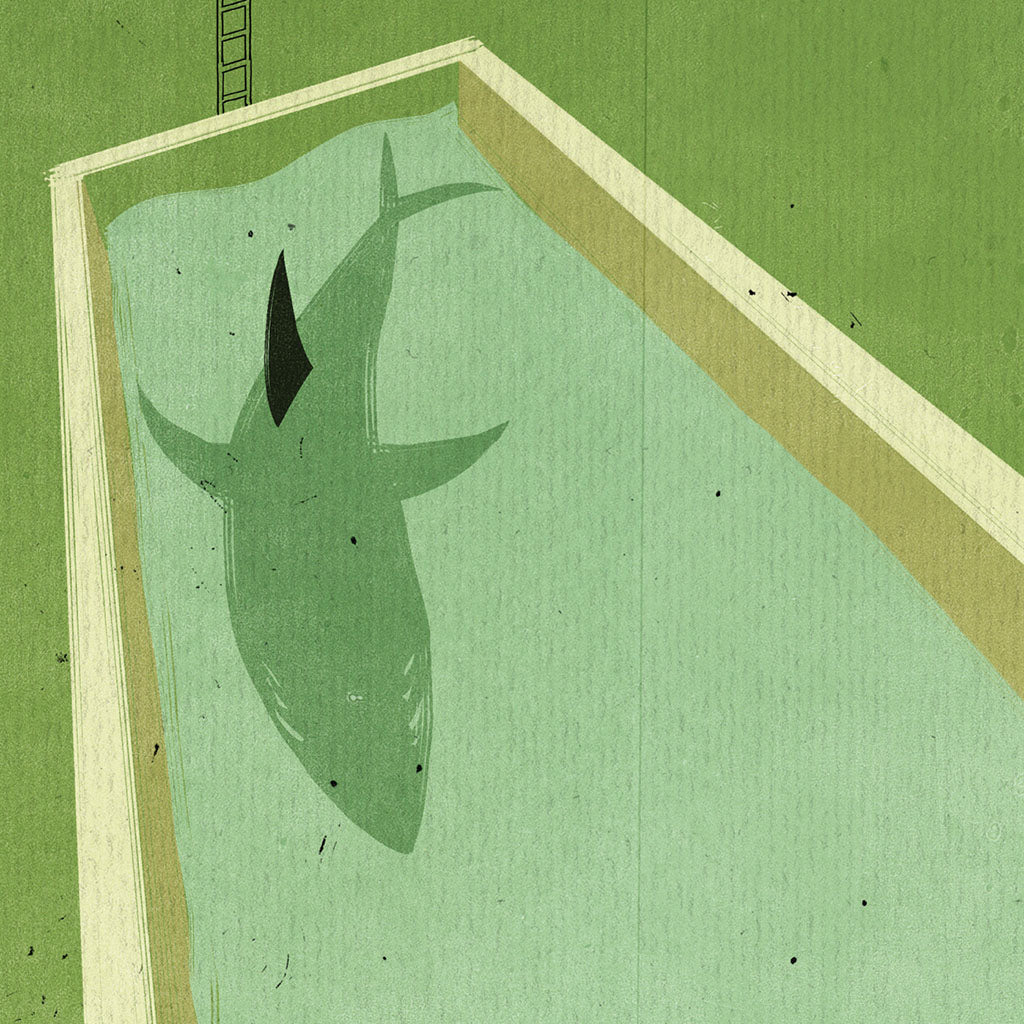 Shout (Alessandro Gottardo) / The Risk Pool